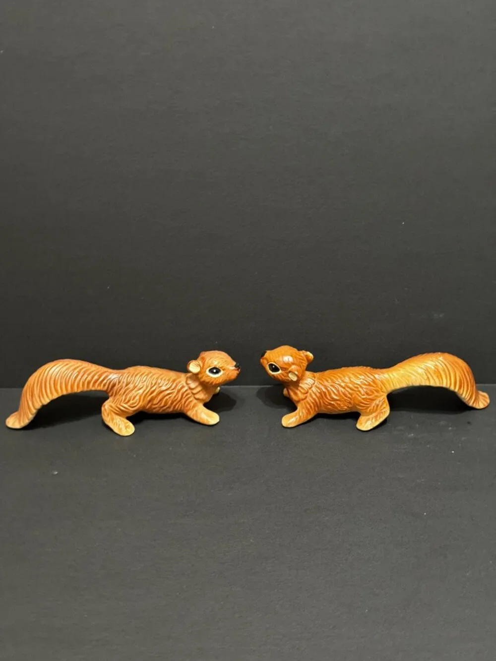 N/A norcrest squirrel